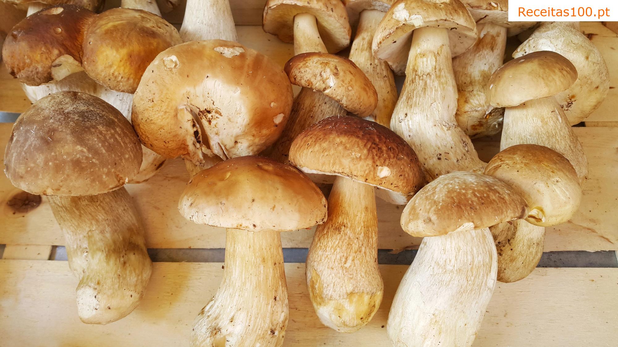 Mistura de cogumelos para torradas